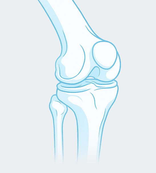 ACL Tear & Reconstruction Surgery Metro Atlanta