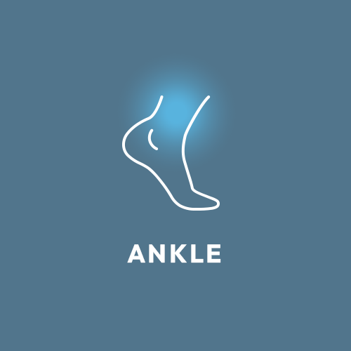 Ankle