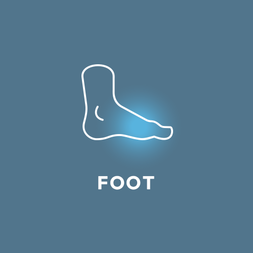 Foot