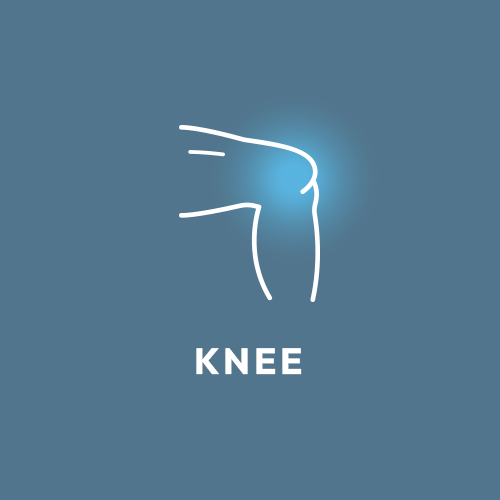 Knee