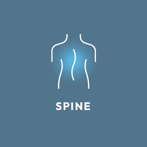 Spine